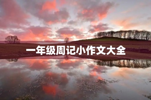 一年级周记小作文大全