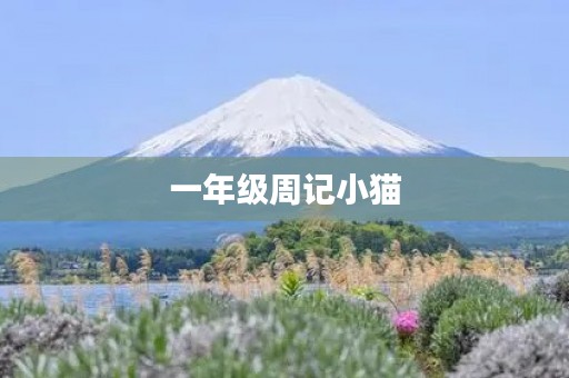 一年级周记小猫