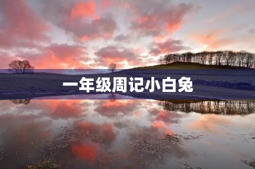 一年级周记小白兔