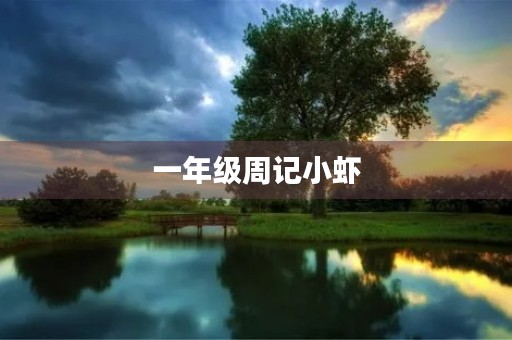 一年级周记小虾 一年级周记小虾