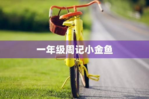 一年级周记小金鱼