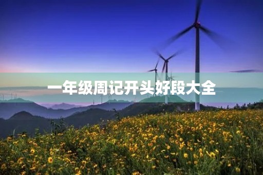 一年级周记开头好段大全