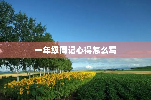一年级周记心得怎么写