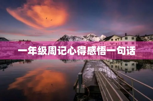 一年级周记心得感悟一句话 一年级周记心得感悟一句话