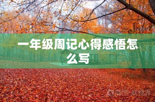一年级周记心得感悟怎么写