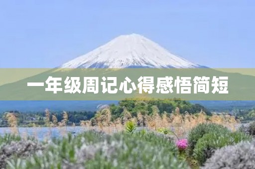 一年级周记心得感悟简短 一年级周记心得感悟简短