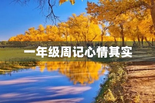 一年级周记心情其实