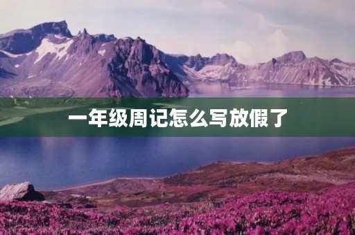 一年级周记怎么写放假了