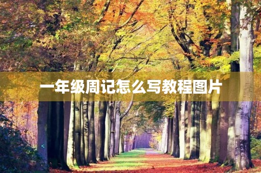 一年级周记怎么写教程图片 一年级周记怎么写教程图片
