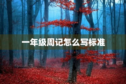 一年级周记怎么写标准