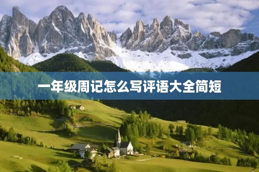 一年级周记怎么写评语大全简短