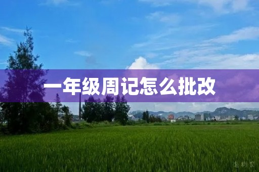 一年级周记怎么批改