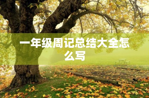 一年级周记总结大全怎么写