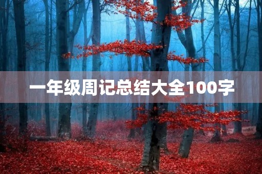 一年级周记总结大全100字