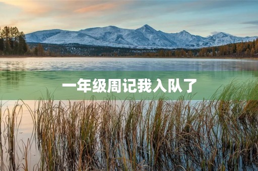 一年级周记我入队了