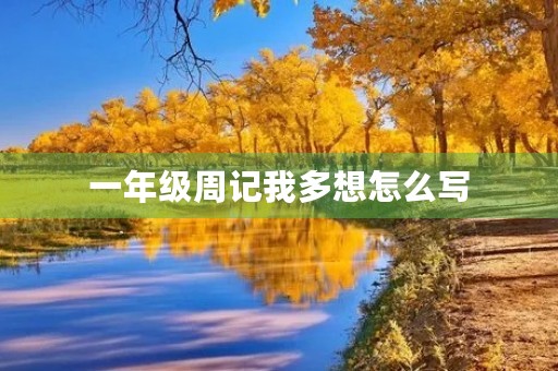 一年级周记我多想怎么写