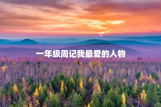 一年级周记我最爱的人物