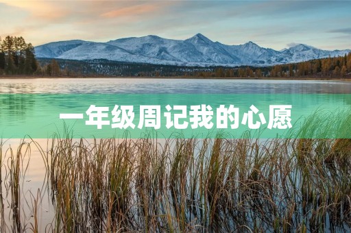 一年级周记我的心愿