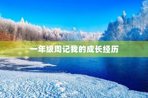 一年级周记我的成长经历