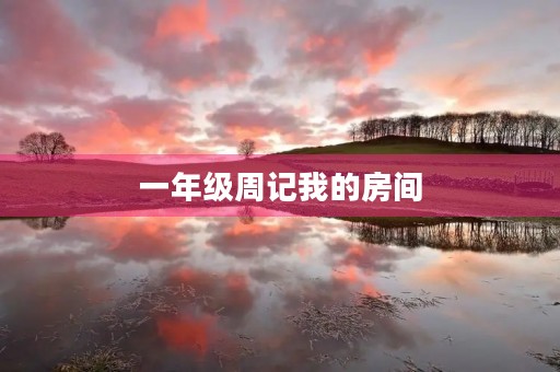 一年级周记我的房间