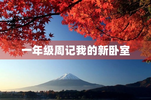 一年级周记我的新卧室