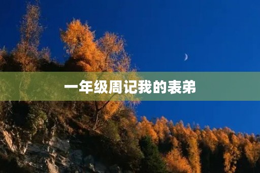 一年级周记我的表弟
