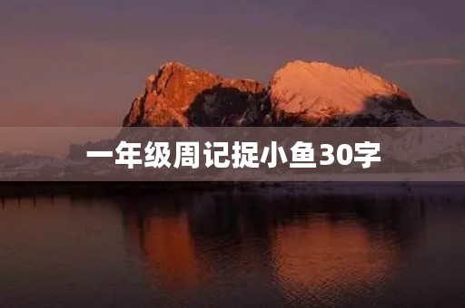 一年级周记捉小鱼30字