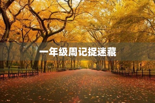 一年级周记捉迷藏