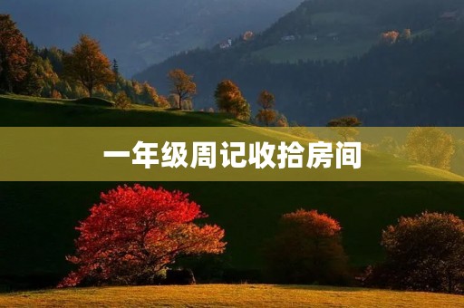 一年级周记收拾房间 一年级周记收拾房间