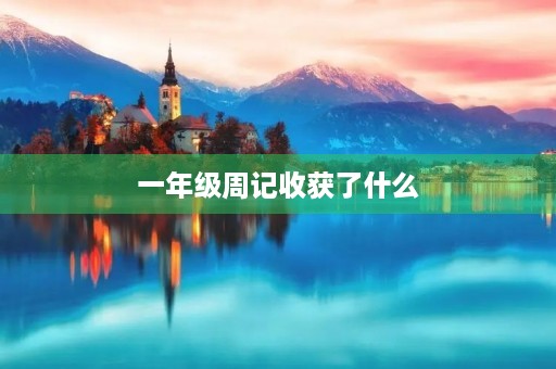 一年级周记收获了什么