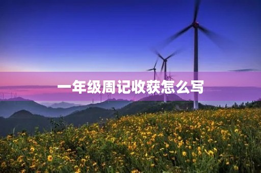 一年级周记收获怎么写 一年级周记收获怎么写