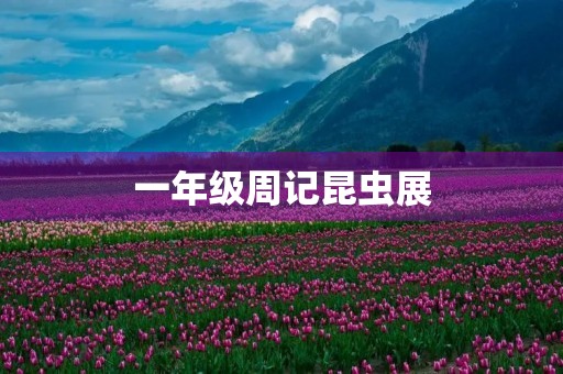 一年级周记昆虫展 一年级周记昆虫展