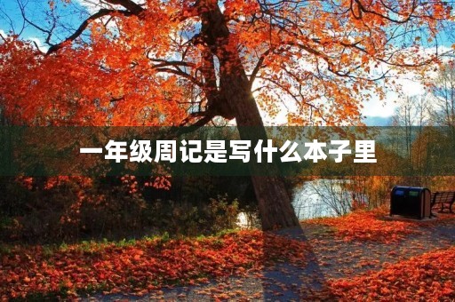 一年级周记是写什么本子里