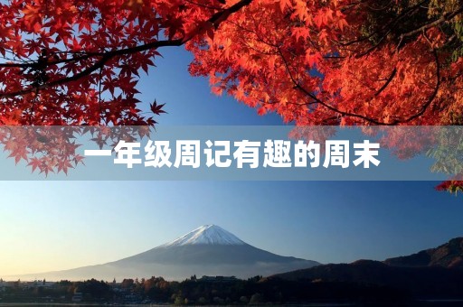 一年级周记有趣的周末