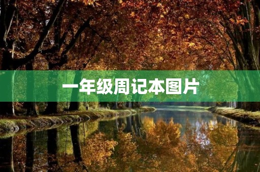 一年级周记本图片 一年级周记本图片