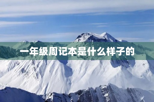 一年级周记本是什么样子的