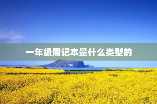 一年级周记本是什么类型的 一年级周记本是什么类型的