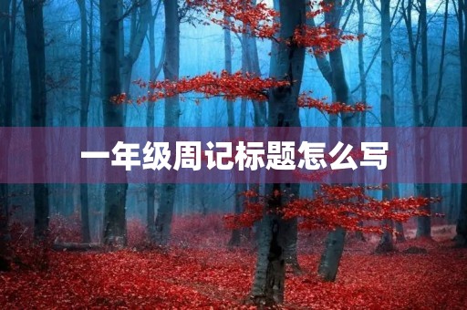 一年级周记标题怎么写