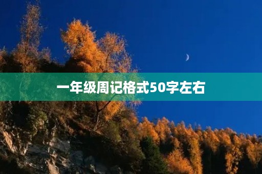 一年级周记格式50字左右