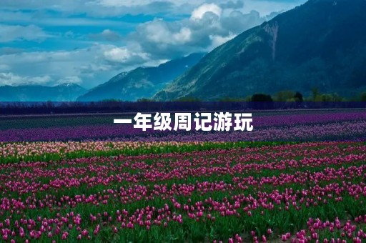 一年级周记游玩 一年级周记游玩