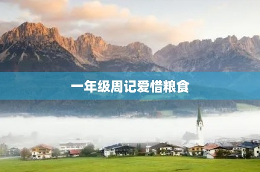 一年级周记爱惜粮食