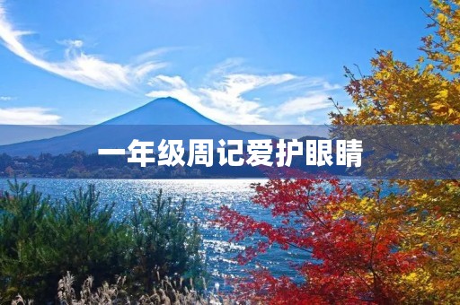 一年级周记爱护眼睛