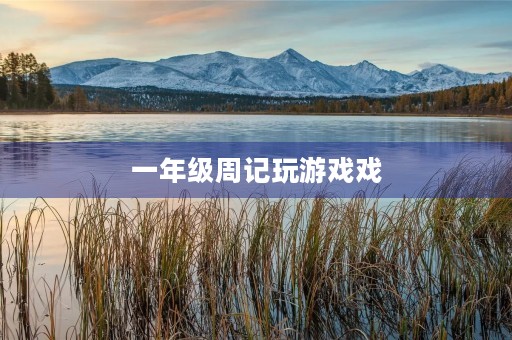 一年级周记玩游戏戏 一年级周记玩游戏戏