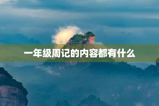 一年级周记的内容都有什么