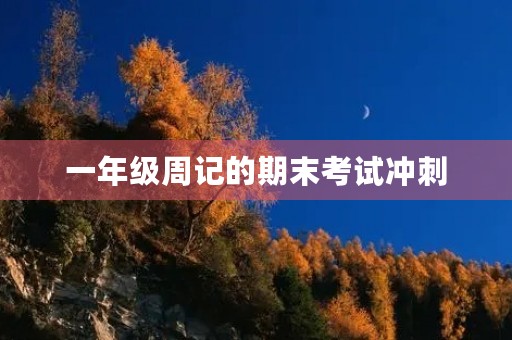 一年级周记的期末考试冲刺 一年级周记的期末考试冲刺