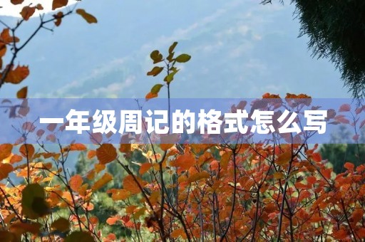 一年级周记的格式怎么写
