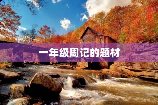 一年级周记的题材