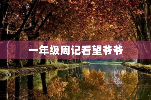 一年级周记看望爷爷