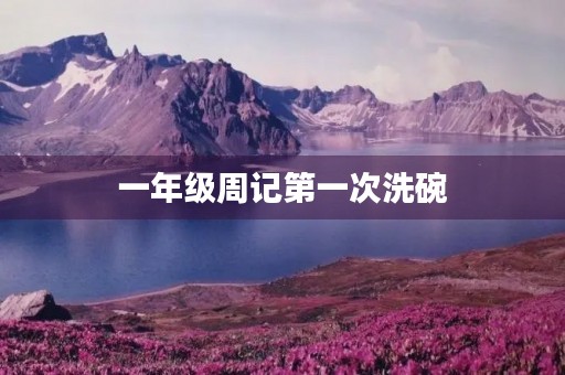 一年级周记第一次洗碗