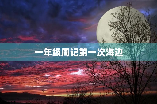 一年级周记第一次海边